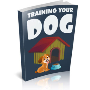 Training Your Dog