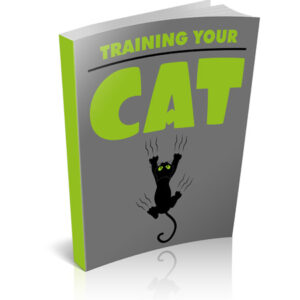 Training Your Cat