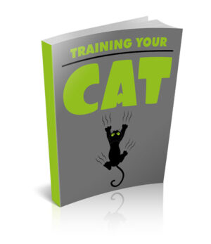 Training Your Cat