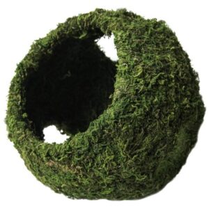 Galapagos Reptile Mossy Cave w/ Holes, Green, 7.5″ Diameter