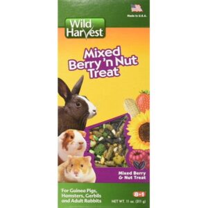 Wild Harvest Wild Berry and Nut Treat for Small Animals