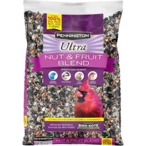 Pennington Ultra Fruit & Nut Blend, Wild Bird Seed and Feed, 7 lb.