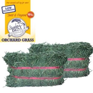 Grandpa’s Best Orchard Grass Hay Mini Bale for Small Animals – 10lb