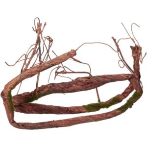 Penn-Plax – 5 ft (60 inches) of Bendable Climbing Vines for your Reptile’s Habitat. Perfect Décor for your Terrarium – allows your pet to climb.