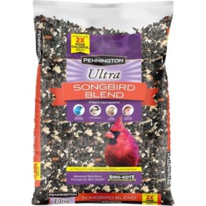 Pennington Ultra Songbird Blend Wild Bird Feed and Seed, 6 lb. Bag