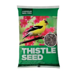 Premium Natural Black Thistle / Nyjer Seed, Wild Bird Food, 5 lb Bag