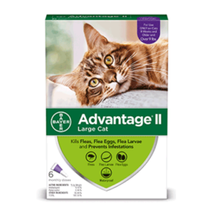Advantage II Flea Prevention for Large Cats, 6 Monthly Treatments