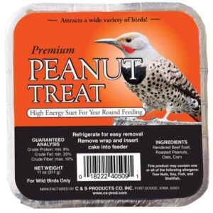 C&S Peanut Suet Treat, 11 oz Cake, Wild Bird Food