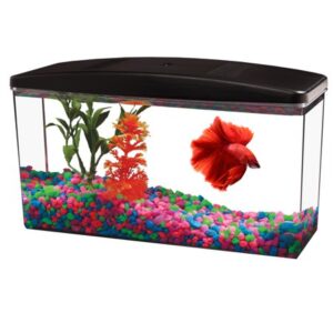 Aqua Culture Betta View 1/2-Gallon Fish Tank with Full Hood