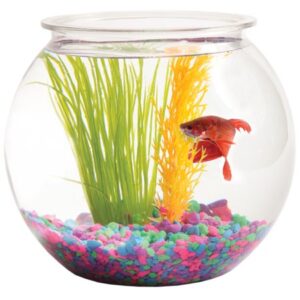 Koller Products Fish Bowl 1-Gallon Bubble-Shape