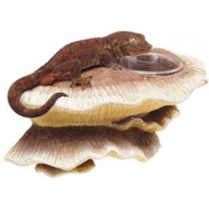 Zilla Vertical Decor for Reptiles, Mushroom Feeding Ledge