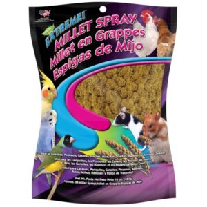 FM Brown Extreme Spray Millet 16 oz.