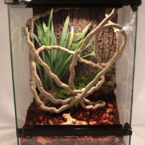 2*1m Flexible Bendable Jungle Climber Vines Habitat Decor Reptile