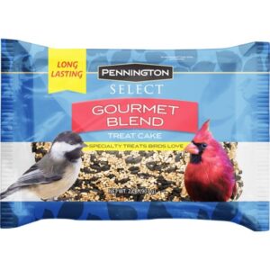 Pennington Premium Gourmet Wild Bird Seed Cake, 2 lb.