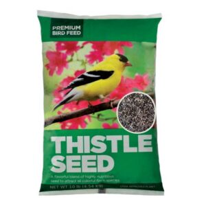 Premium Natural Black Thistle / Nyjer Seed, Wild Birdfood, 10 lb. Bag