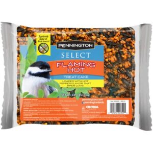 Pennington Select Flaming Hot Wild Bird Feed Treat Cake, 2.09 lbs.