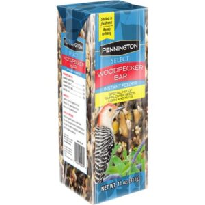 Pennington Woodpecker Bar Wild Bird Feed and Seed Cake, 11 oz.