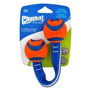 Chuckit! Ultra Duo Fetch Puppy and Small Dog Tug Toy