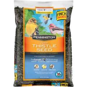 Pennington Select Thistle Seed, Wild Bird Feed and Seed, 10 lb. Bag