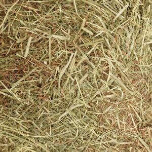 Oxbow Western Timothy Hay Dry Small Animal Food, 25 lbs.