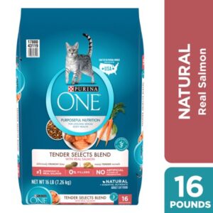 Purina ONE Natural Dry Cat Food, Tender Selects Blend With Real Salmon, 16 lb. Bag