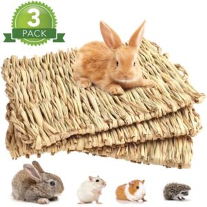 LotFancy 3Pcs Grass Mat Woven Bed Mat for Small Animals