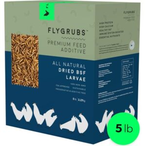 FLYGRUBS 5 lbs Chicken Feed – Superior to Dried Mealworms for Chickens – Non-GMO – 85X More Calcium Than Meal Worms – Great for Molting – BSF Larvae Treats for Hens, Ducks, Birds