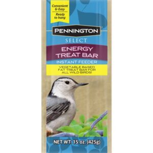 Pennington, Ready-to-Hang, Energy Treat Bar Wild Bird Feed, for Songbirds, 15 oz.