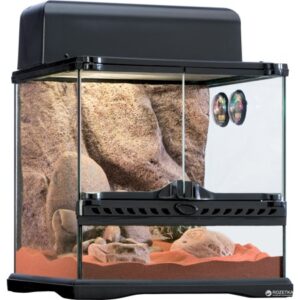 Exo Terra Small 7.5-Gallon Desert Reptile Habitat Kit