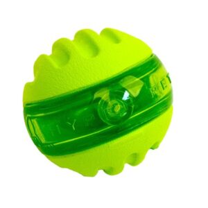 Hyper Pet Dura-Squeaks Floating Bouncing Sphere Dog Toy