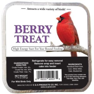 C&S Berry Treat Suet, 11.75 oz Cake, Wild Bird Food