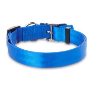 Vibrant Life Solid Nylon Dog Collar with Metal Clasp, Blue, Medium