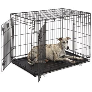 MidWest Homes For Pets LifeStages Double Door Metal Dog Crate, 36″