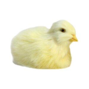 Younar Chick Plush Toy Simulation Chicken Toys Realistic Furry Animal Doll Easter Gift Kids Toy Chick Animal Doll Cognition Chicken Model Figurine enjoyment