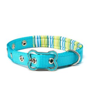 Vibrant Life Comfort Padded Dog Collar, Teal Striped, Small