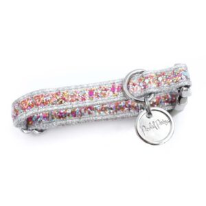 Vibrant Life Polyester Confetti Fashion Dog Collar, Silver, M