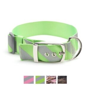 Vibrant Life Extra Wide Patterned Dog Collar, Green/Gray Striped, Large – 15 to 25 inches