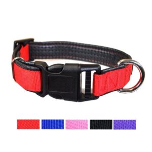 Best Plastic Quick Release Dog and Puppy Collar (Red, LARGE (15″ – 19″ Neck x 1″ Width))