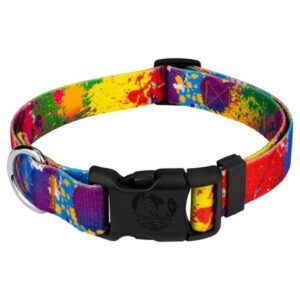 Country Brook Design Polyester Paint Splatter Fashion Dog Collar, Multi-color, XS