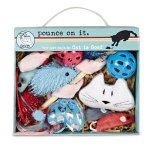 Cat is Good “Pounce on It” 12-Piece Cat and Kitten Toy Gift Pack