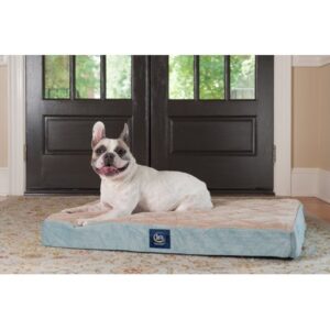 Serta Ortho Quilted Pillow Top Pet Dog Bed, Large Blue