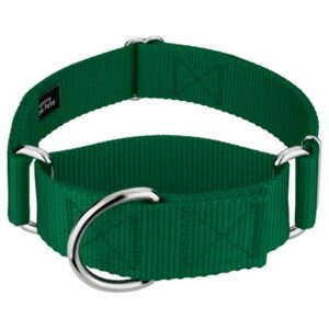 Country Brook Petz® 1 1/2 inch Green Martingale Heavyduty Nylon Dog Collar, Large