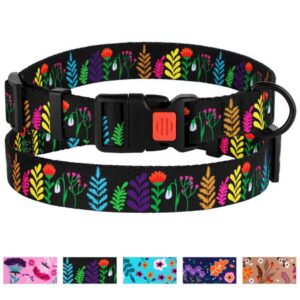 CollarDirect Floral Dog Collar Nylon Pet Collars for Dogs Small Medium Large Puppy, Black