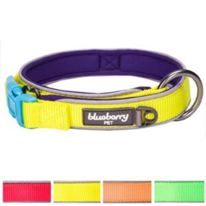 Blueberry Pet Soft & Comfy Summer Hope 3M Reflective Padded Dog Collar with O-Ring, Fluorescent Yellow, Large, Neck 18″-21.5″