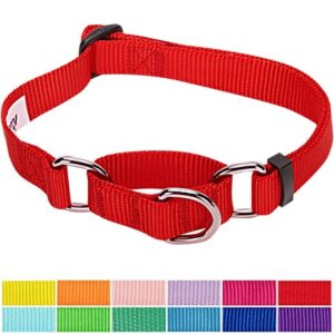 Blueberry Pet Adjustable Dog Martingale Collar Made for Last, Rouge Red, Large, Neck 18″-26″