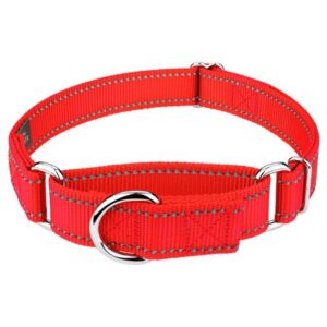 Country Brook Design – Blaze Orange Reflective Nylon Martingale Dog Collar – Extra Large