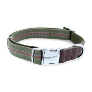 Vibrant Life Polyester Striped Fashion Dog Collar, Olive, L