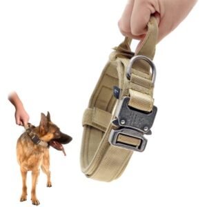 Adjustable Nylon Dog Collar with Metal Buckle for Small Medium Large Dogs Training