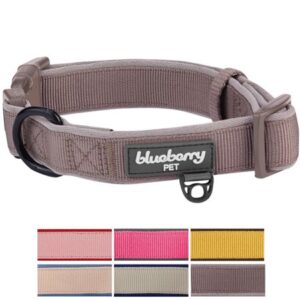 Blueberry Pet Soft & Comfy Made Well Classic Neoprene Padded Dog Collar, Beaver Brown, Large, Neck 18″-26″