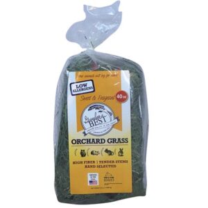 Grandpa’s Best Orchard Grass Hay Mini Bale for Small Animals – 40 oz